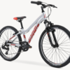 Fuji Dynamite Sport 24 - Silver/red - Image 4